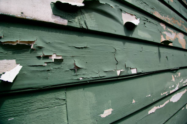 Best Carpet Removal and Disposal  in Cheat Lake, WV
